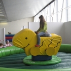 Enten Rodeo Indoor