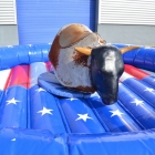 American Bullriding Professionelle Rodeoanlage