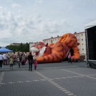 Tigerrutsche Outdoor