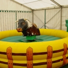 Bullriding 